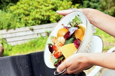 8 triệu tấn thực phẩm bị thải bỏ gây lãng phí và ô nhiễm môi trường