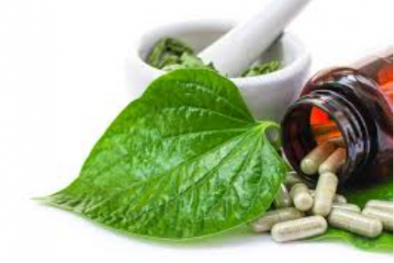 Hà Nội xử lý 6 đối tượng bán thuốc xương khớp giả từ lá và thân cây cho người dân với giá cao