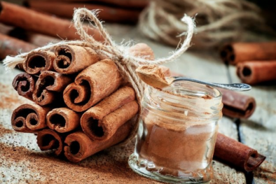 Những điều cần lưu ý khi xây dựng hệ sinh thái phát triển ngành quế