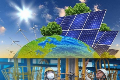 Quảng Ngãi: Hỗ trợ doanh nghiệp đẩy mạnh năng suất xanh, chuyển đổi số trong sản xuất