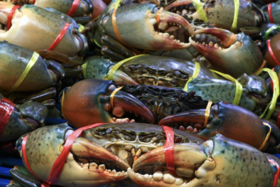 Việt Nam trở thành nhà cung cấp thủy sản lớn thứ 3 của Trung Quốc