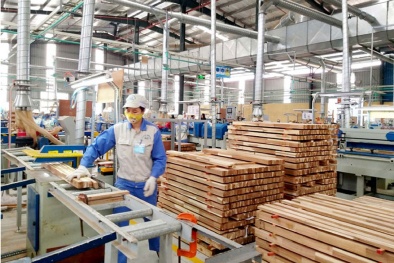 Trung Quốc ban hành tiêu chuẩn về giới hạn chất độc hại trong đồ gỗ nội thất