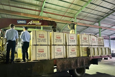 Đà Nẵng xử phạt 500 triệu đồng công ty nhập khẩu hàng hóa xâm phạm nhãn hiệu