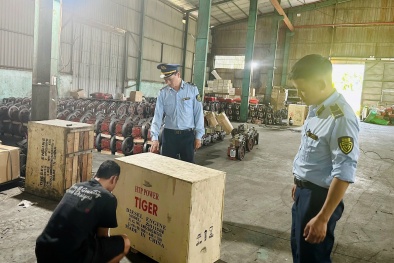 Đà Nẵng xử phạt doanh nghiệp có hành vi nhập khẩu nhiều động cơ diesel xâm phạm nhãn hiệu