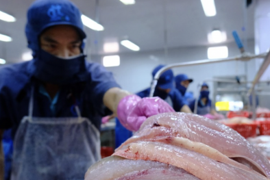 Hoa Kỳ khởi xướng rà soát hành chính thuế chống bán phá giá một số sản phẩm của Việt Nam