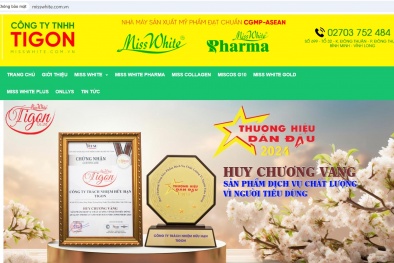 Xử phạt Công ty TNHH Tigon kinh doanh trái phép trên thương mại điện tử