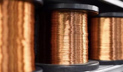 Yêu cầu rà soát phân loại mặt hàng đồng xuất khẩu