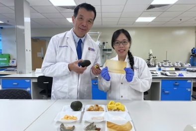 Màng bọc thực phẩm làm từ hạt bơ có thể tiêu diệt vi khuẩn và cảnh báo thực phẩm hư hỏng