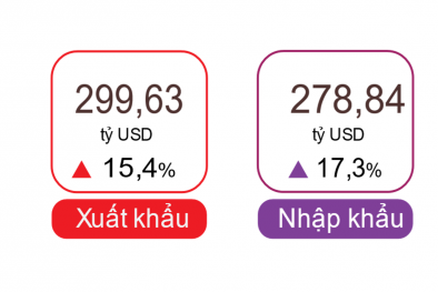 Xuất khẩu tăng 15,4% - điểm sáng tích cực của nền kinh tế trong 9 tháng 2024