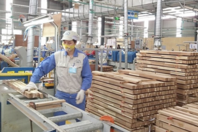 Đẩy mạnh năng lực phòng vệ thương mại cho doanh nghiệp