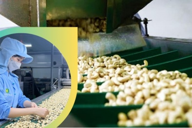 Ứng dụng khoa học công nghệ nâng tầm sản phẩm OCOP của Bình Phước