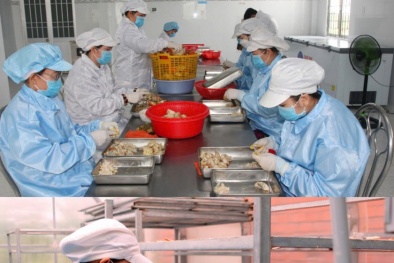 Doanh nghiệp Cà Mau áp dụng tiêu chuẩn quốc tế, đưa sản phẩm OCOP vươn ra thế giới