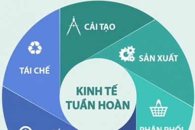Kinh tế tuần hoàn – đo lường và đánh giá mức độ tuần hoàn