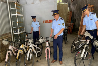 Lạng Sơn xử lý và tiêu hủy nhiều hàng hóa vi phạm