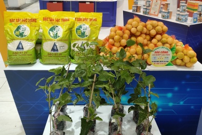 Quảng bá sản phẩm OCOP của tỉnh Sóc Trăng tại TP.HCM