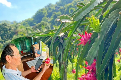 Bình Thuận đẩy mạnh chuyển đổi số và chuyển đổi xanh trong sản xuất nông nghiệp