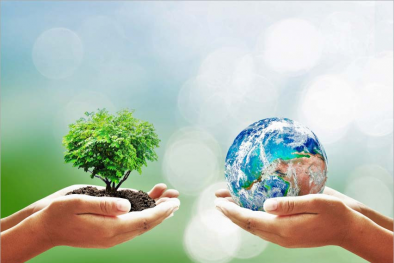 Tiêu chuẩn năng lượng sinh học - chìa khóa cho các giải pháp bền vững