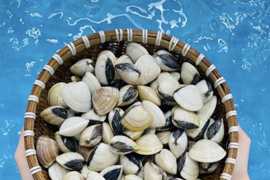 Sản phẩm nghêu Việt Nam thu hút lượng tiêu thụ cao tại thị trường quốc tế