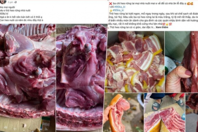 Tràn lan thịt heo rừng giá rẻ bán trên mạng chất lượng khó kiểm chứng