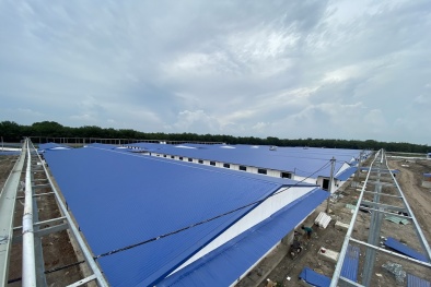 Xử phạt Công ty TNHH Mevius Farm Thạnh Bình do vi phạm trong lĩnh vực môi trường