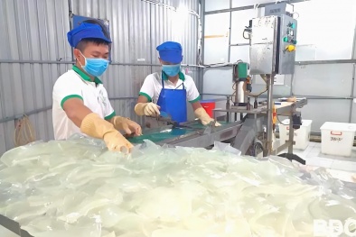 Bình Định: Hỗ trợ doanh nghiệp áp dụng hệ thống quản lý an toàn thực phẩm ISO 22000:2018