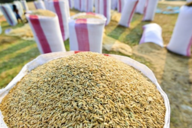 Dự thảo quy định về hạn ngạch thuế quan nhập khẩu một số mặt hàng có xuất xứ từ Lào