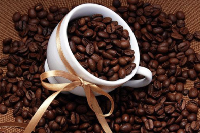 Nâng cao năng suất, chất lượng ngành cà phê theo tiêu chuẩn xanh bền vững