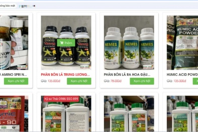 Tiền Giang xử phạt 3 cơ sở vi phạm trong kinh doanh thương mại điện tử