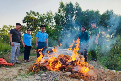 Cảnh báo nguy cơ từ măng khô không rõ nguồn gốc, tẩm ướp hoá chất