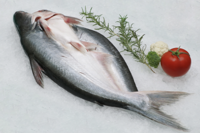 Việt Nam là nguồn cung cá tra lớn thứ 2 cho thị trường Trung Quốc