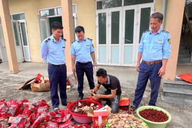 Quảng Bình tiêu hủy hàng loạt sản phẩm thực phẩm nhập lậu