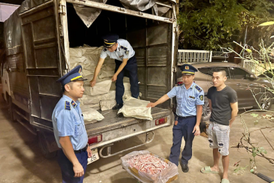 Lạng Sơn thu giữ 960 kg chân gà đông lạnh nhập lậu 