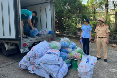 Quảng Ninh phát hiện xe ô tô vận chuyển 1.900 kg ức vịt nhập lậu