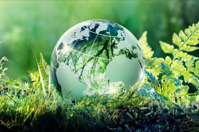 So sánh ISO 14001 và LEED – Tiêu chuẩn về bảo môi trường hướng đến phát triển bền vững 