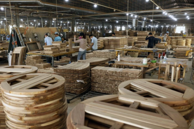 Cảnh báo sớm để sản phẩm gỗ Việt Nam phát triển bền vững tại thị trường Hoa Kỳ