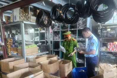 Bắc Giang xử phạt hộ kinh doanh kìm và tua vít không rõ nguồn gốc, xuất xứ