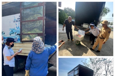 Phú Thọ ngăn chặn nội tạng động vật bốc mùi hôi thối trên đường đi tiêu thụ