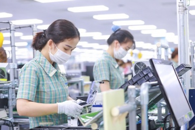 Đồng Tháp: Hỗ trợ doanh nghiệp nâng cao năng suất, chất lượng sản phẩm, hàng hóa 