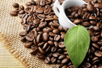 Mở rộng hiệu quả phát triển bền vững ngành cà phê Việt Nam 