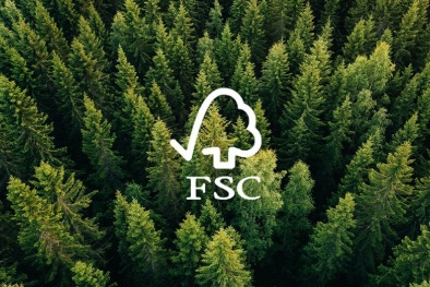 Tiêu chuẩn FSC hướng đến bảo vệ rừng bền vững