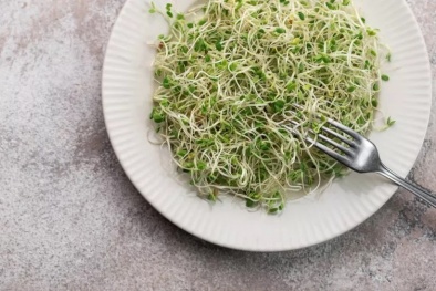 Thu hồi rau mầm của Jack and the Green Sprouts do nguy cơ nhiễm khuẩn Listeria