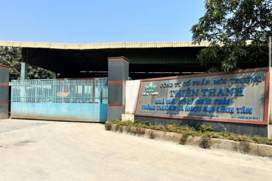 Xử phạt Công ty Cổ phần Môi trường Thiên Thanh vi phạm trong lĩnh vực môi trường và đất đai
