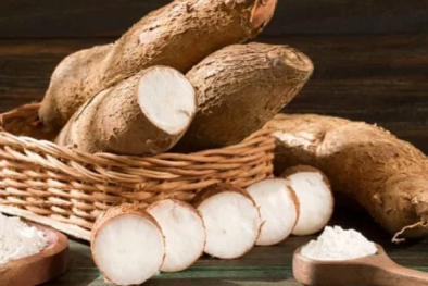 Chuyên gia chỉ cách chế biến sắn để tránh ngộ độc, tử vong