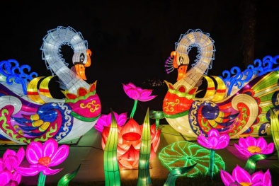 Ocean City tổ chức lễ hội và cuộc thi đèn lồng quốc tế