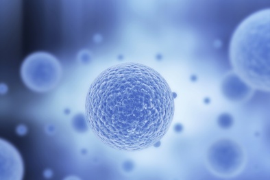 ISO 8472-1 - tiêu chuẩn đầu tiên trên thế giới về dữ liệu tế bào gốc 