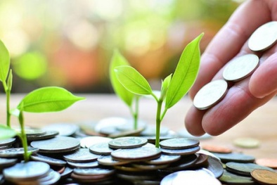 Chính sách môi trường trong hoạt động tín dụng: Lý luận và thực tiễn