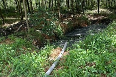 Công ty TNHH MTV Trần Dương bị xử phạt do xả thải vượt quy chuẩn, gây ô nhiễm môi trường