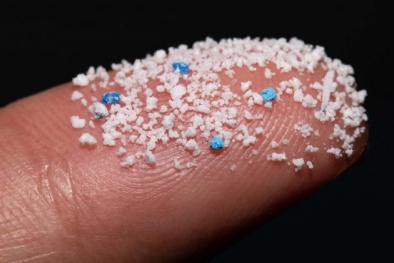 Vi nhựa - Hiểm họa đối với sức khỏe con người