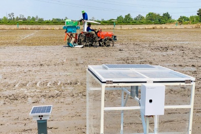 An Giang ứng dụng khoa học công nghệ thúc đẩy phát triển nông nghiệp bền vững