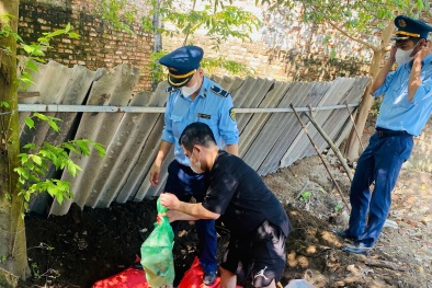 Nghệ An tiêu hủy 400kg chân giò lợn đông lạnh không rõ nguồn gốc xuất xứ 